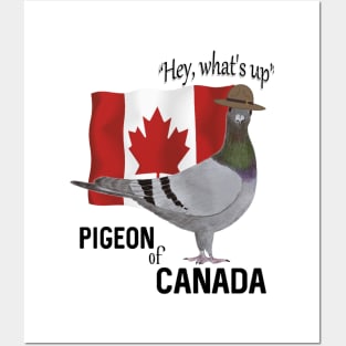 Pigeon of Canada Greeting Posters and Art